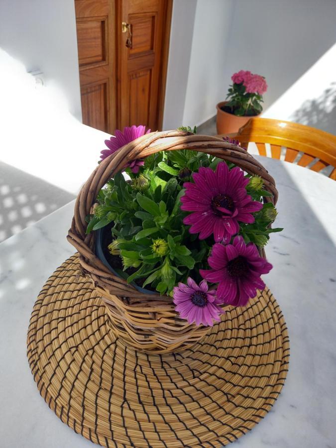 Patmos Little Suites Skála Exterior foto